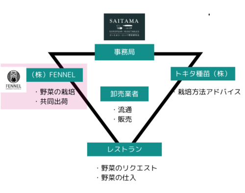 （株）FENNEL　さいたまヨーロッパ野菜研究会関係図ー合同会社サクセシオ　SUCCESSIO